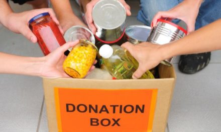 Charity work: Could I start a food bank on my own? 